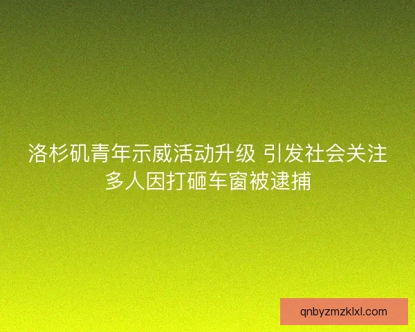洛杉矶青年示威活动升级 引发社会关注多人因打砸车窗被逮捕