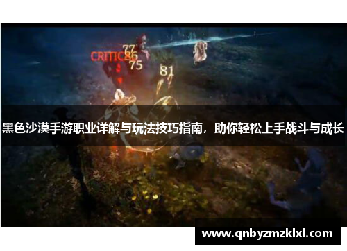 黑色沙漠手游职业详解与玩法技巧指南，助你轻松上手战斗与成长