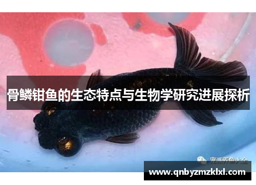 骨鳞钳鱼的生态特点与生物学研究进展探析