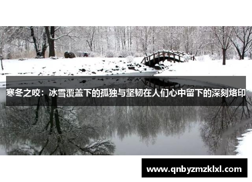 寒冬之咬：冰雪覆盖下的孤独与坚韧在人们心中留下的深刻烙印