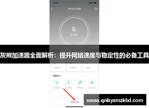 灰熊加速器全面解析：提升网络速度与稳定性的必备工具