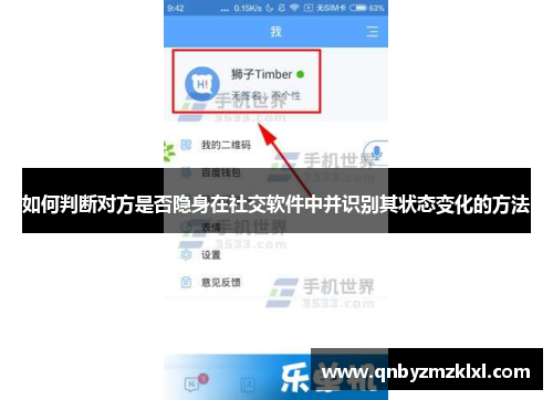 如何判断对方是否隐身在社交软件中并识别其状态变化的方法