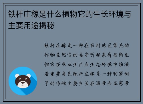 铁杆庄稼是什么植物它的生长环境与主要用途揭秘
